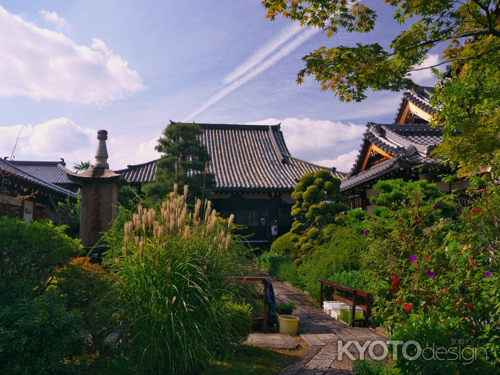 法華寺の風に揺れるススキの秋景色