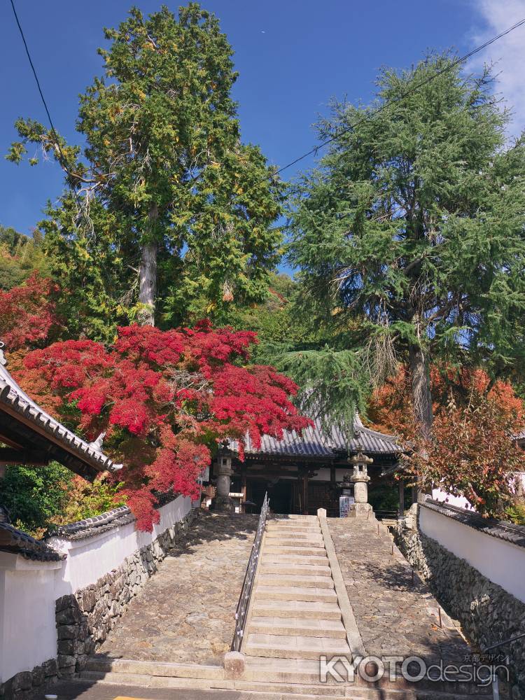 宝積寺本堂前の紅葉