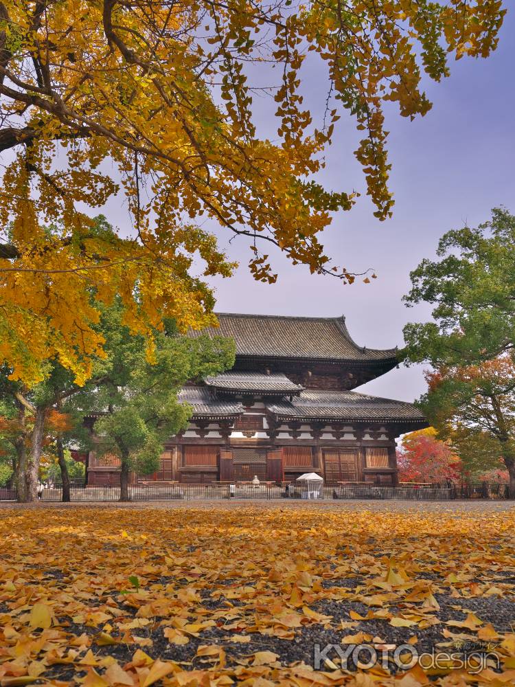 東寺金堂と銀杏