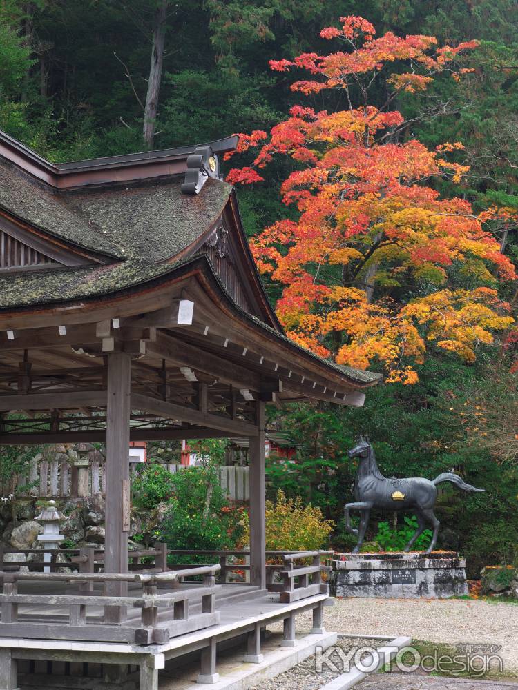 玉津岡神社の紅葉2