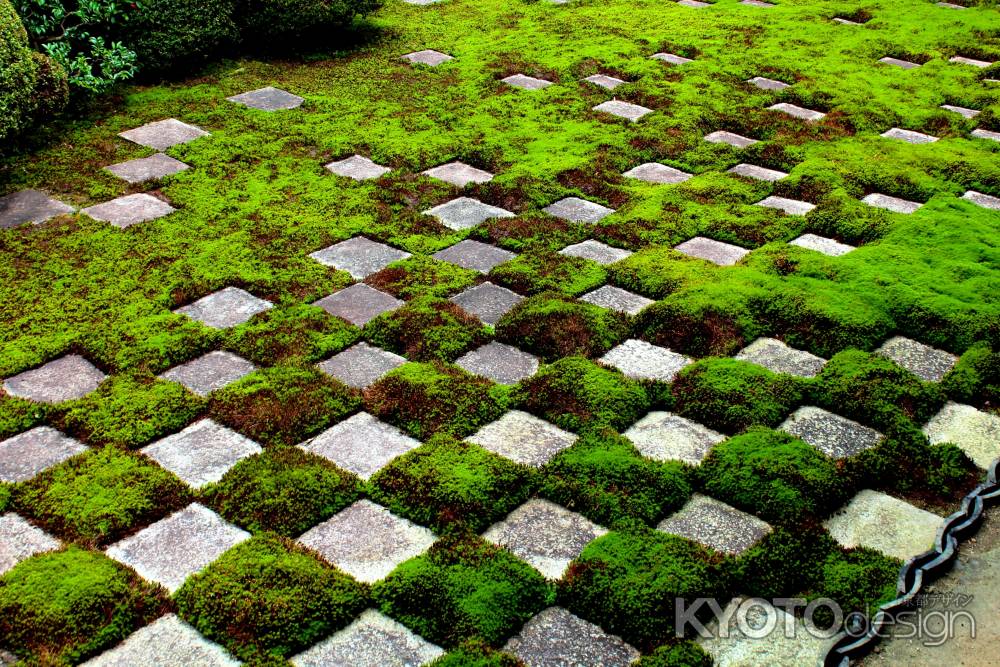 東福寺の庭