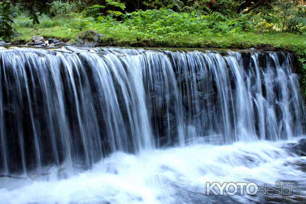 貴船川の流れ