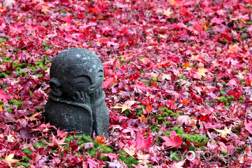 京都の秋・圓光寺