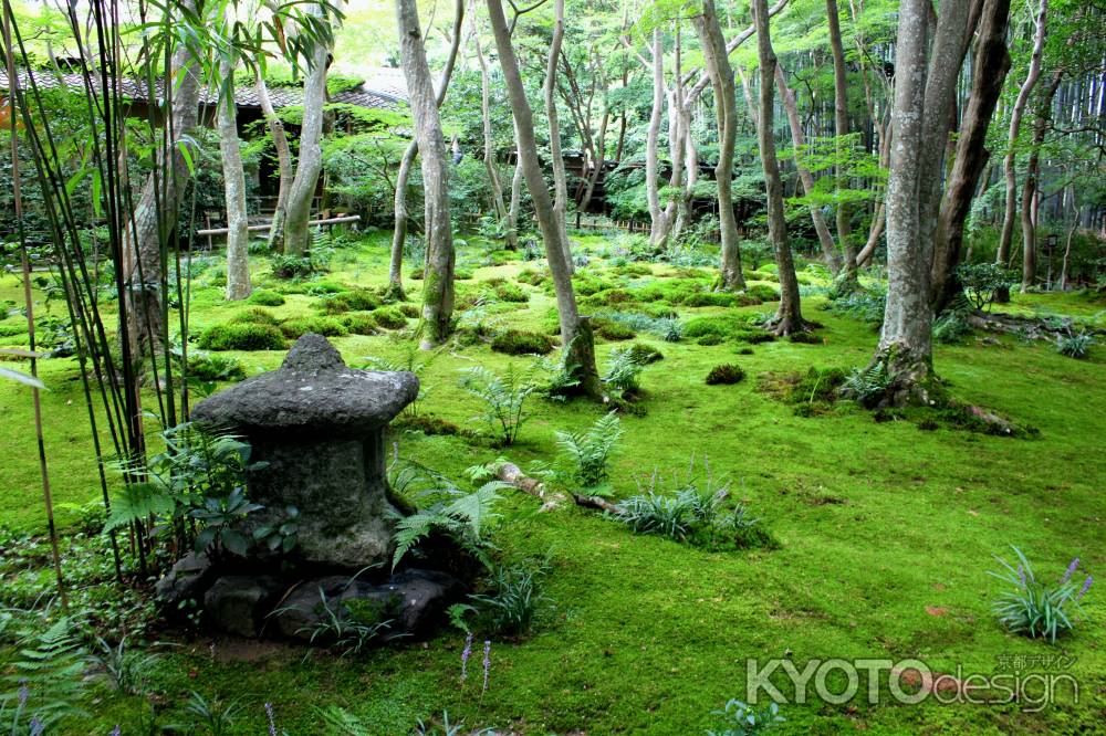 祇王寺の庭