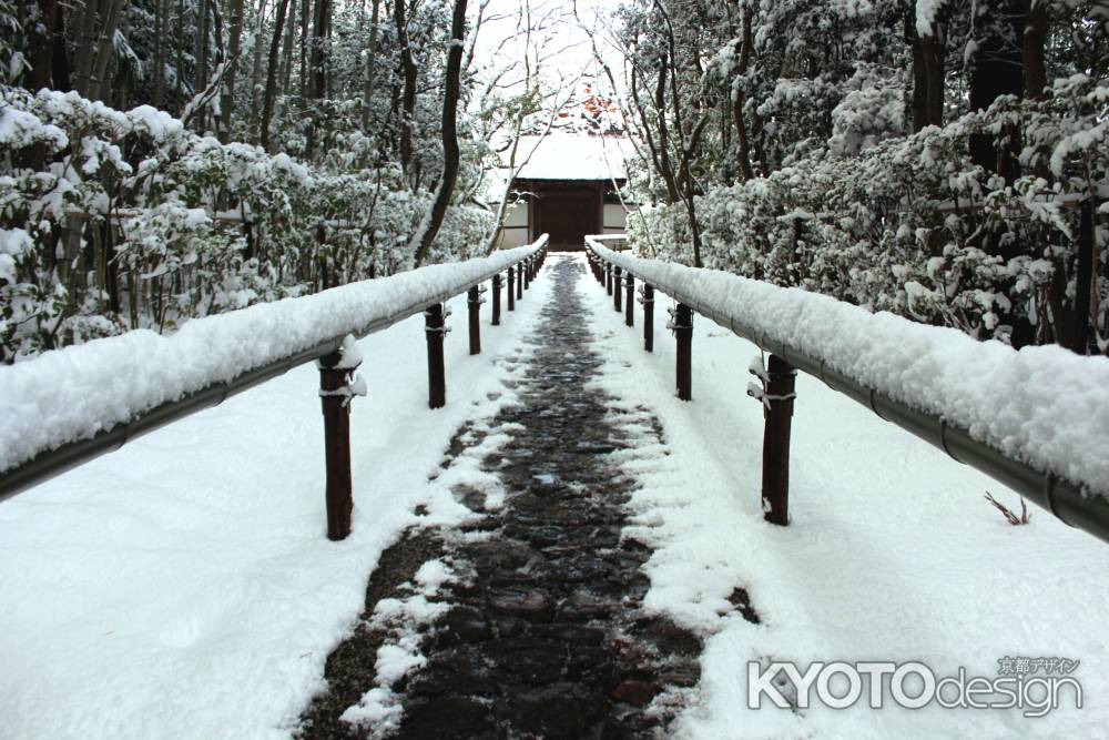 雪の高桐院