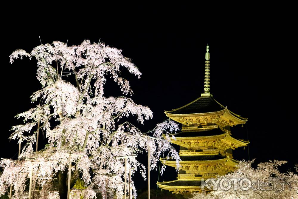 東寺の桜ライトアップ