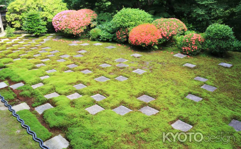 東福寺のサツキ２