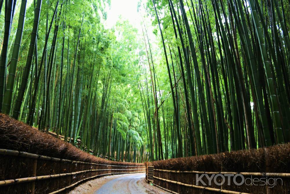 西山竹林公園