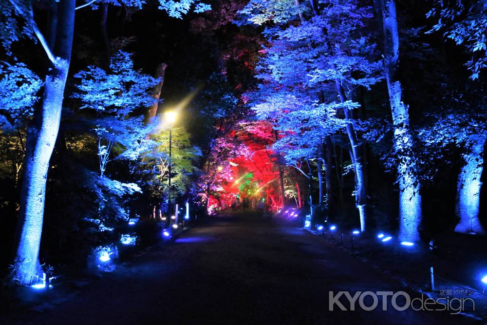 下鴨神社糺の森の光の祭２