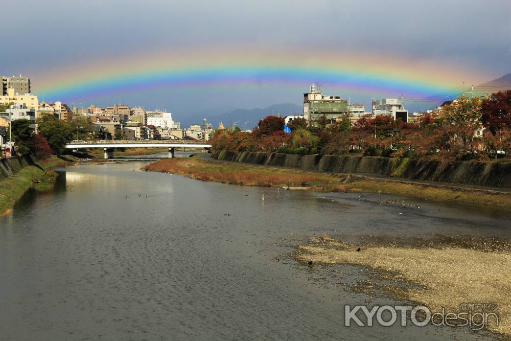 鴨川の虹