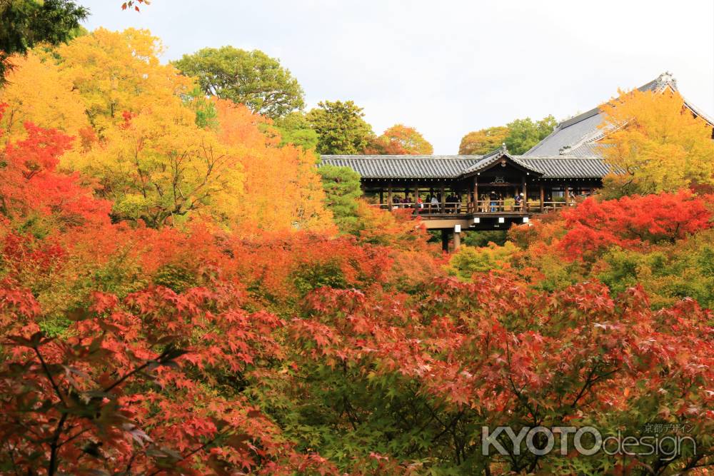 東福寺の撮影