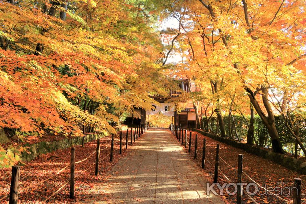 光明寺紅葉2016