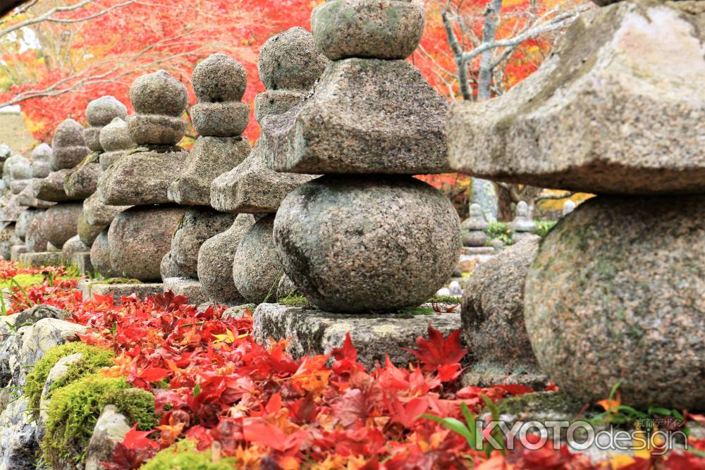 化野念仏寺紅葉2016