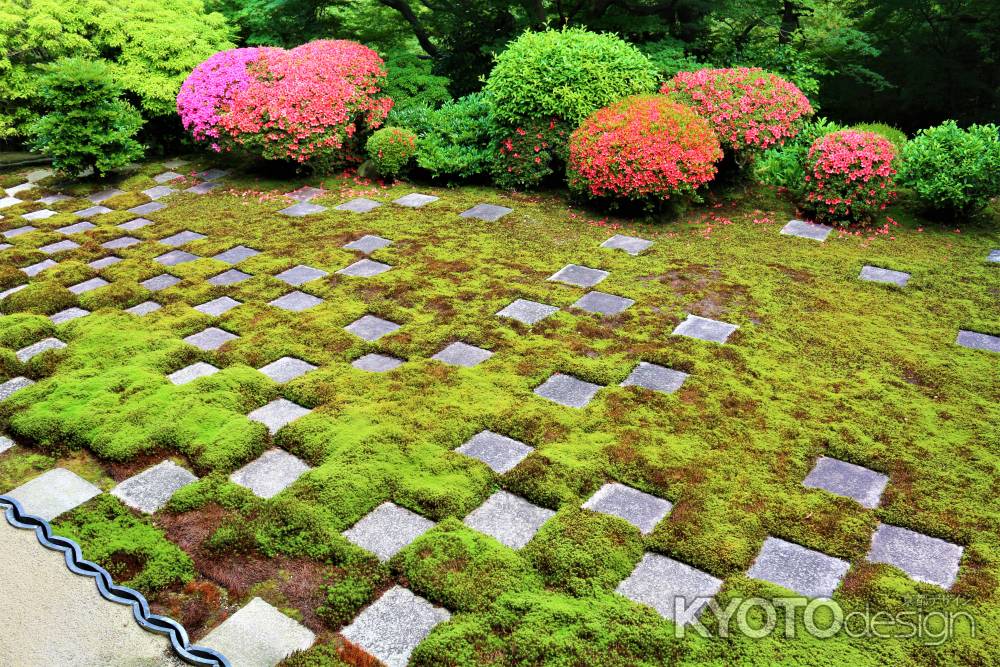 東福寺のサツキ４