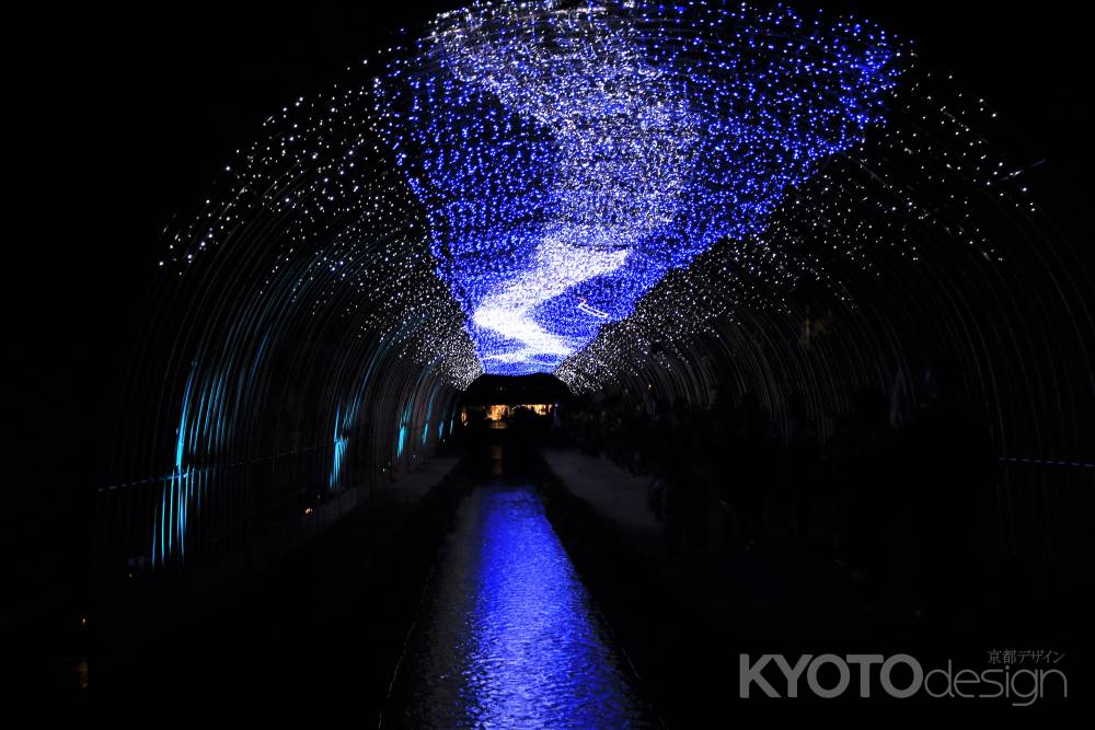 京の七夕、光の天の川