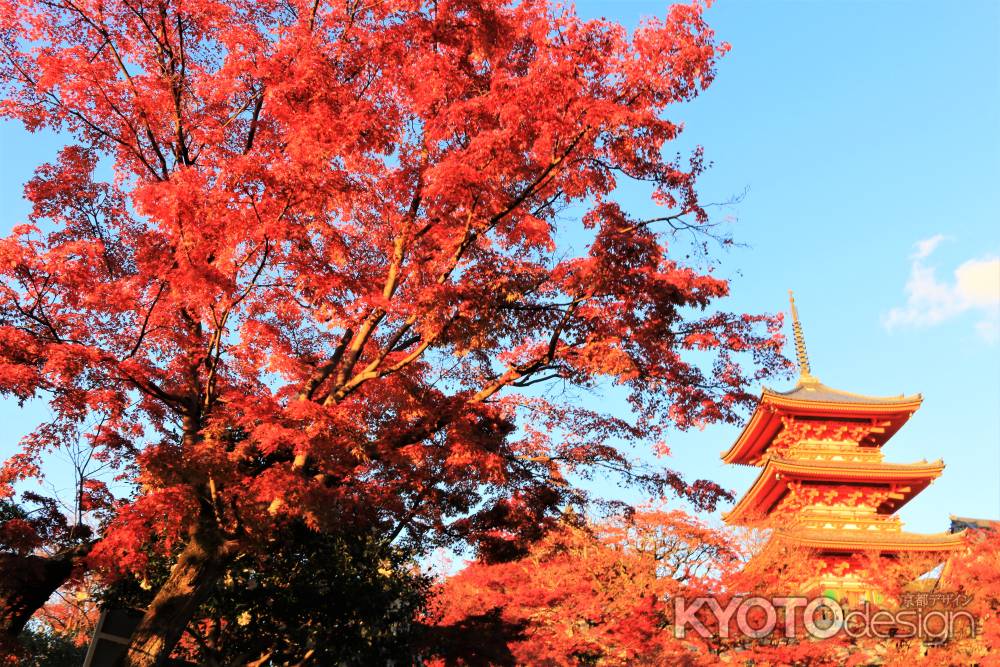 清水寺の紅葉