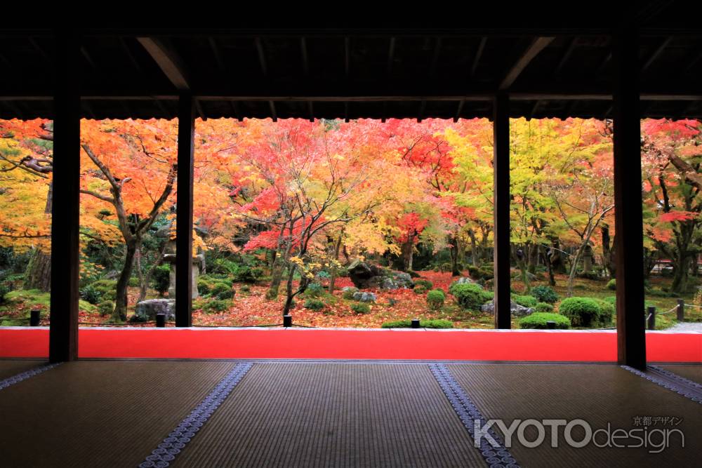 圓光寺の紅葉