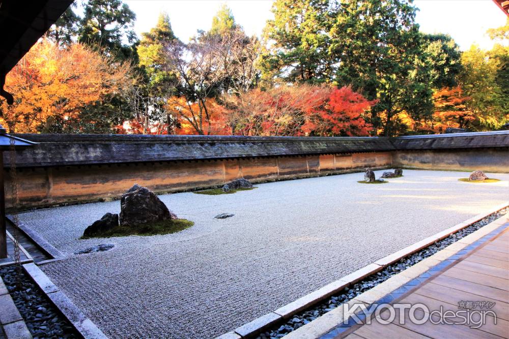 龍安寺石庭の紅葉