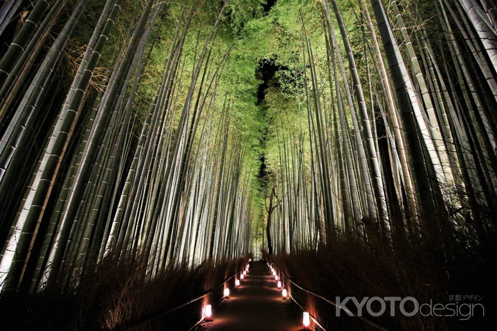 嵐山花灯路2017 嵯峨野竹林