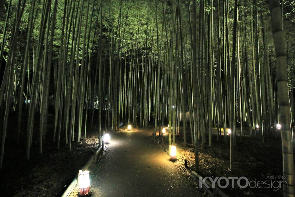 嵐山花灯路2017 竹林の小径