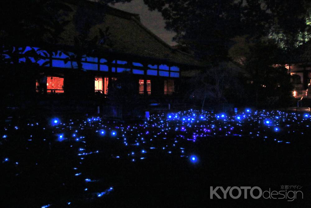 東山花灯路５、青蓮院