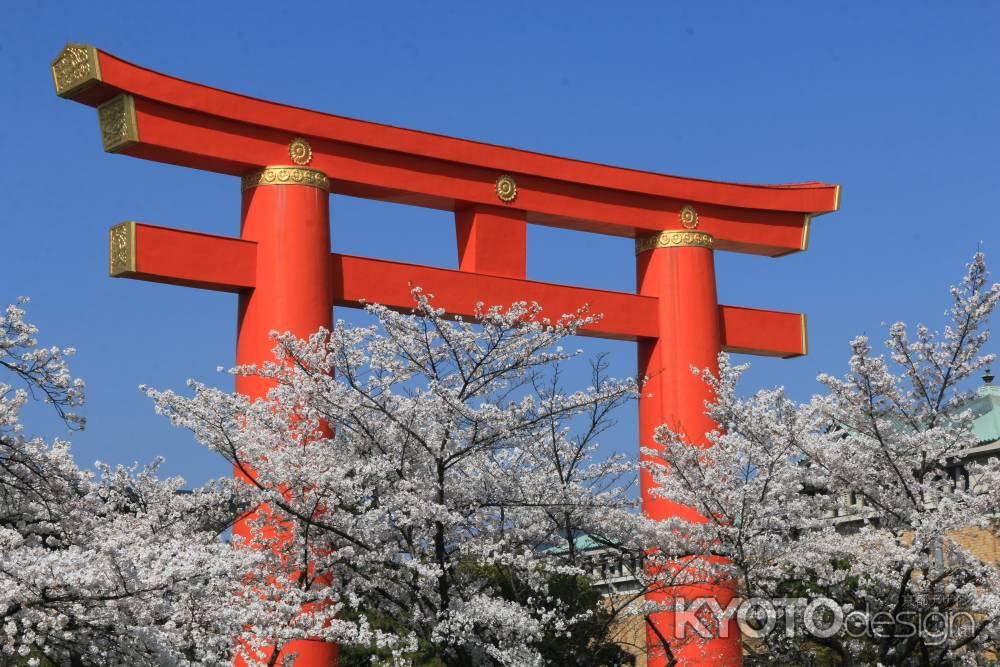 平安神宮大鳥居と桜