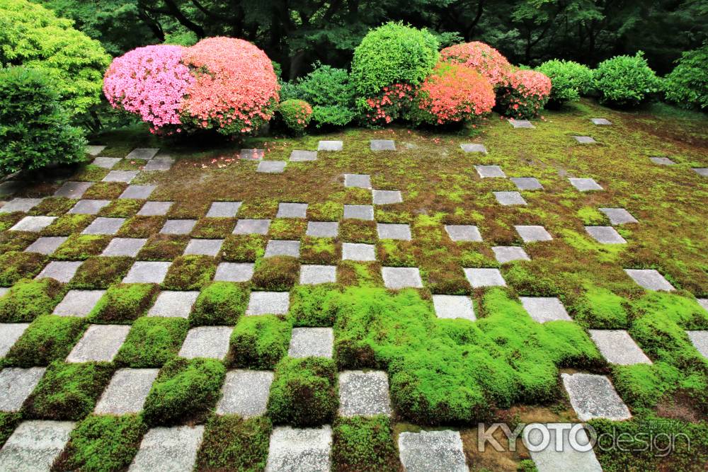 東福寺北庭のサツキ2018