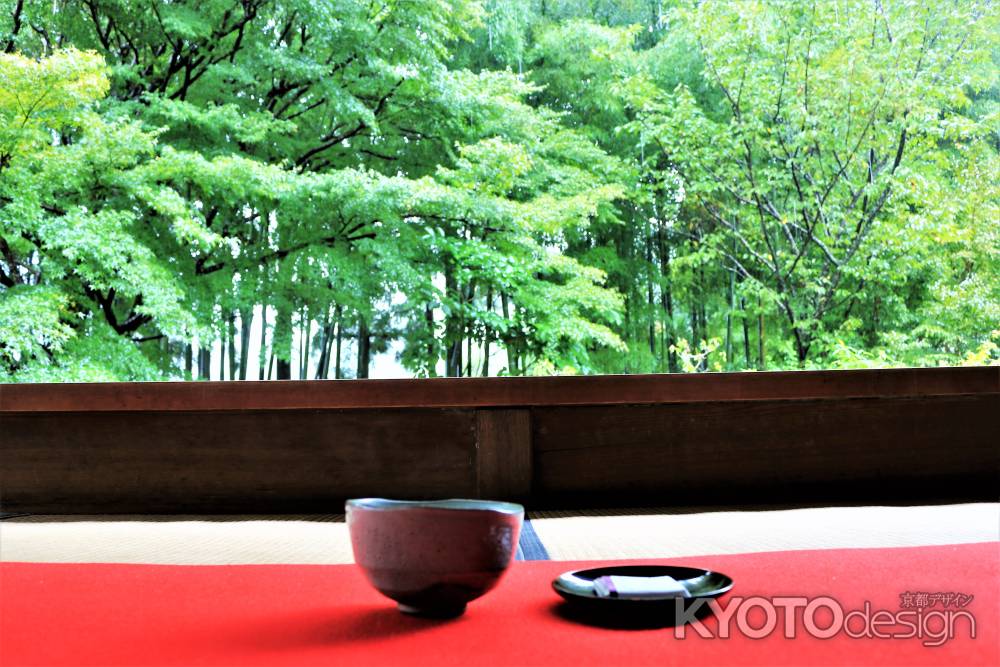 雨上がりの宝泉院