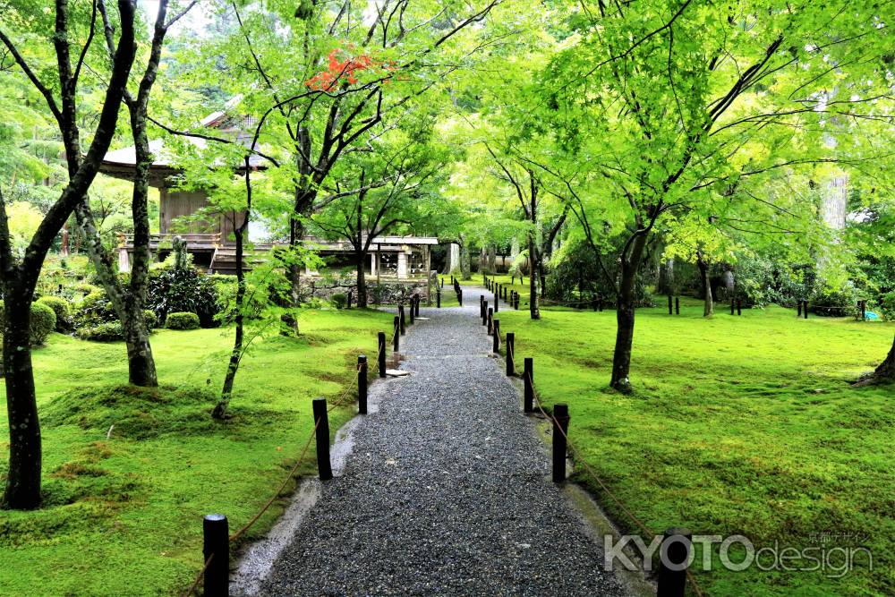 雨上がりの三千院