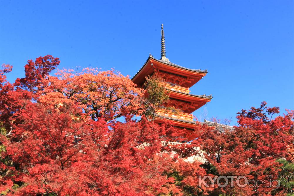 清水寺の紅葉2019