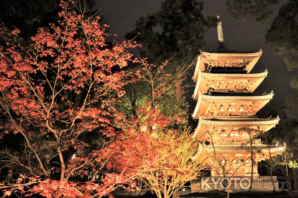 仁和寺の紅葉ライトアップ2019