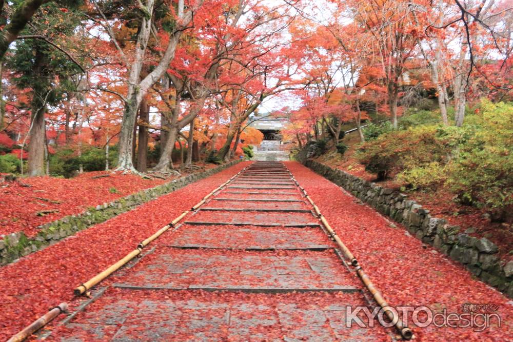 毘沙門堂の紅葉2019