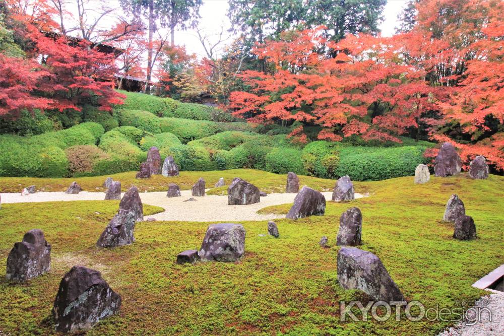 光明院の紅葉2019