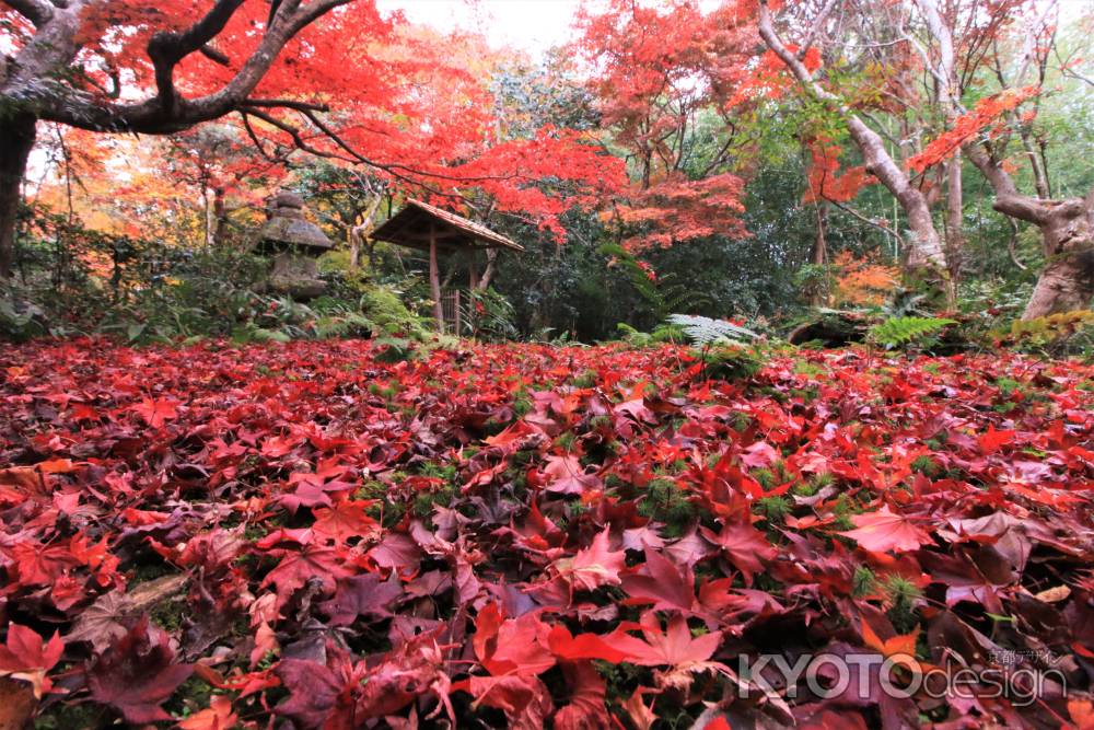 厭離庵の紅葉2019