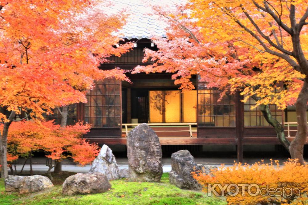 建仁寺の紅葉2019