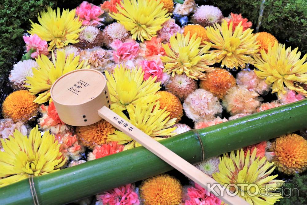 貴船神社の花手水