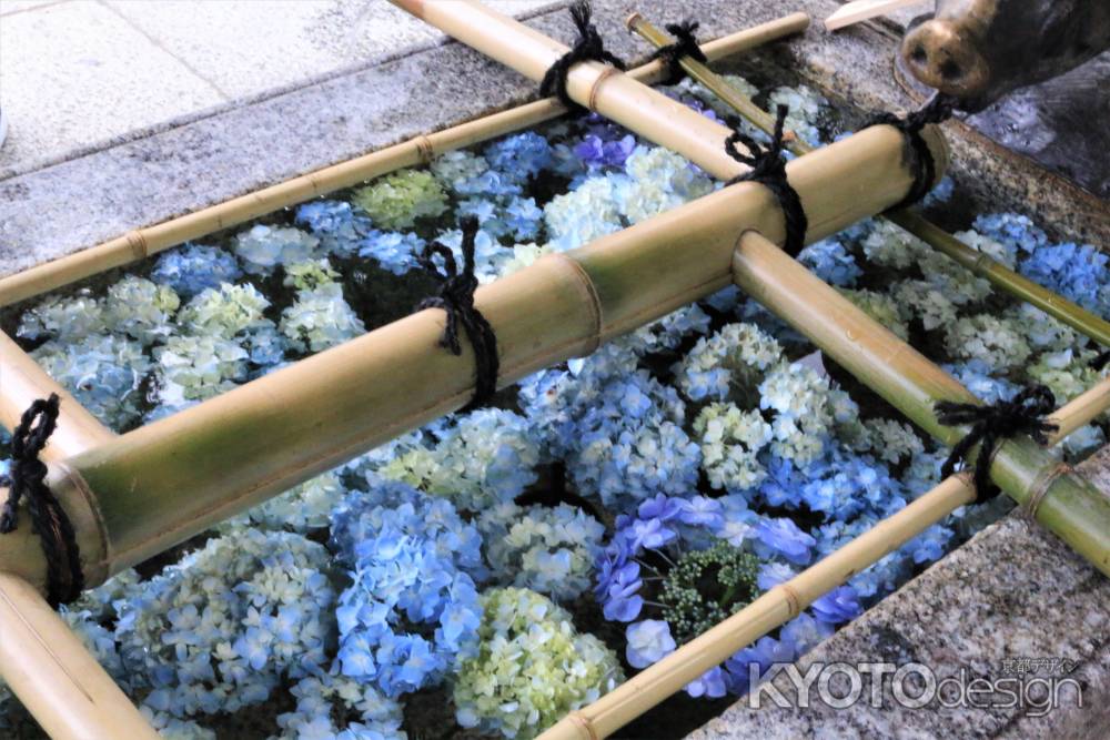 護王神社の花手水