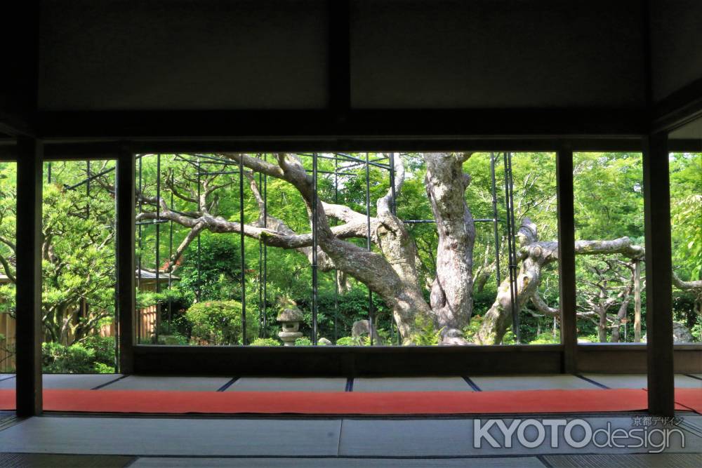 宝泉院庭園2021