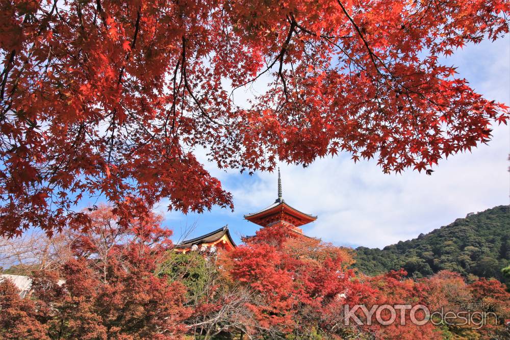 清水寺の紅葉2021