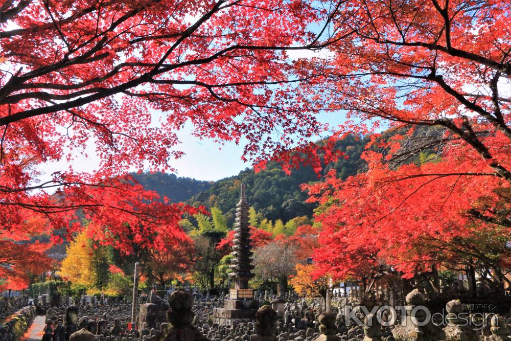 あだし野念仏寺の紅葉2021