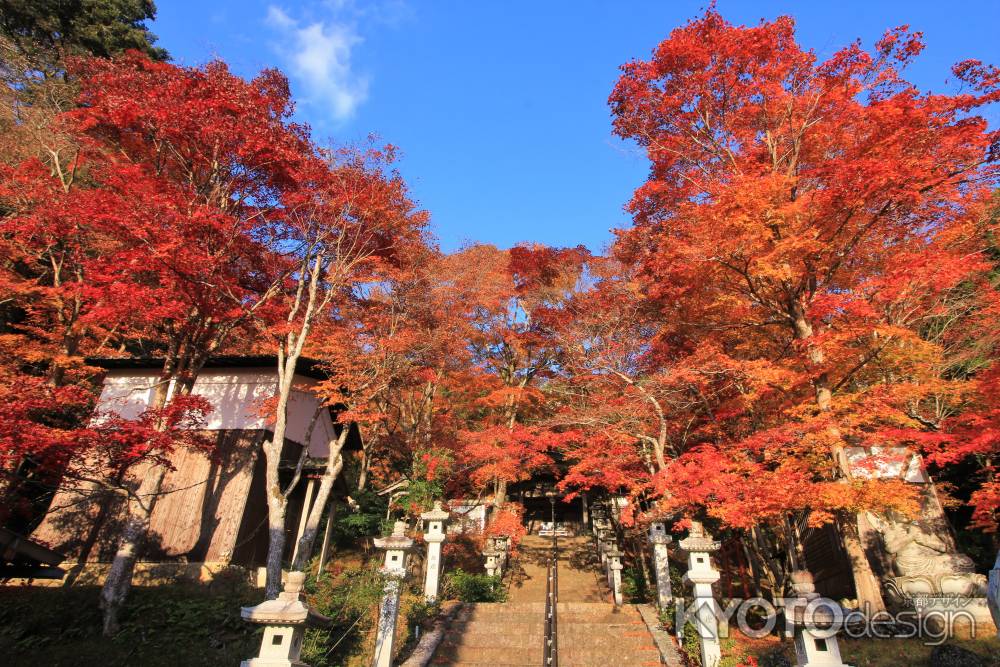 南丹市の西光寺の紅葉