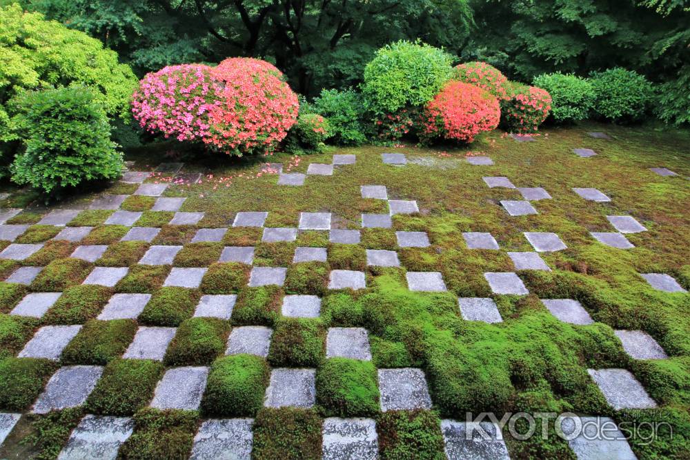 東福寺北庭のサツキ2022