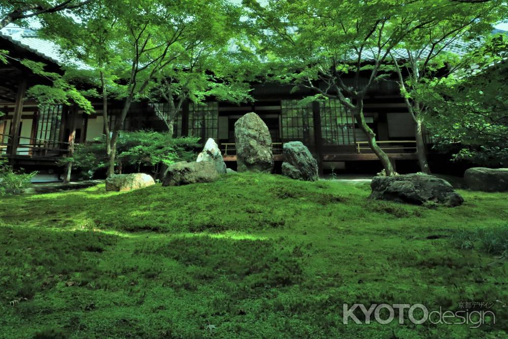 建仁寺、緑の潮音庭