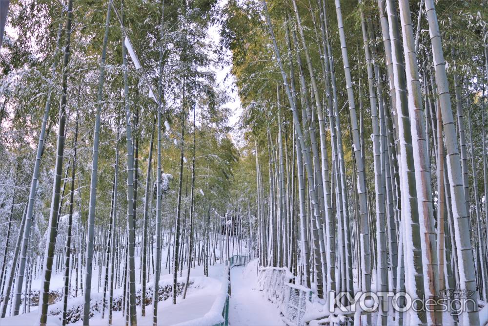 雪の伏見稲荷大社３