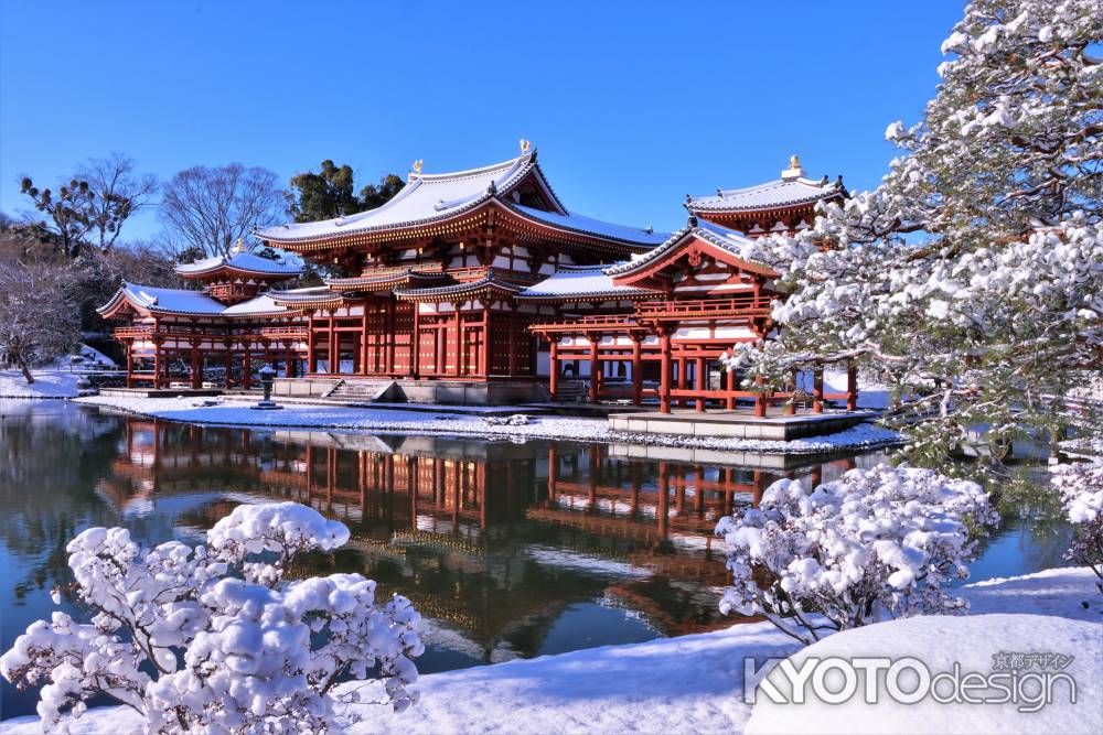 雪の平等院2023-2