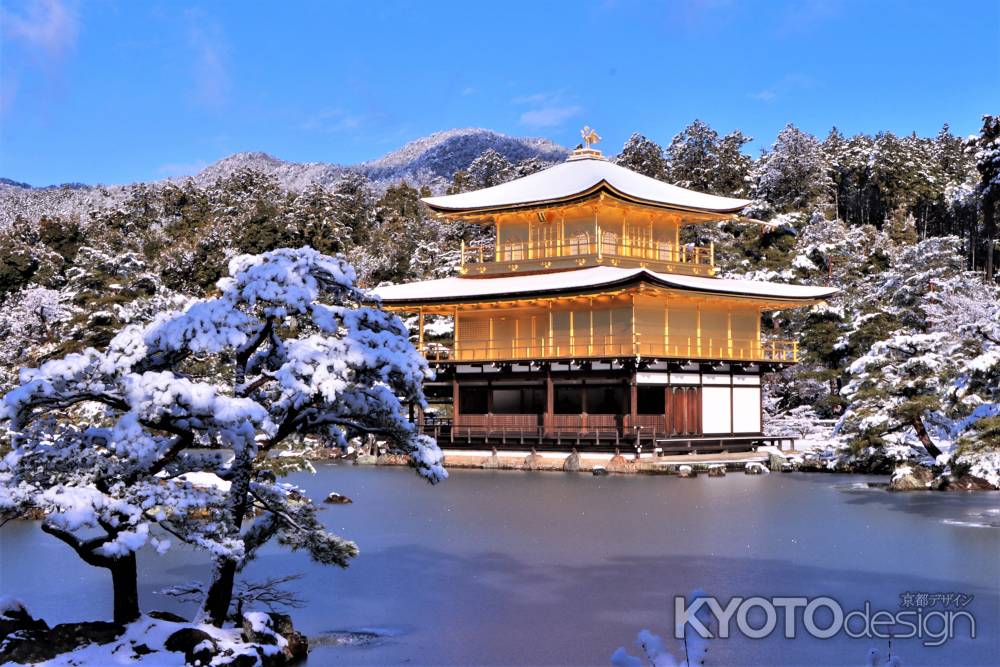 雪の金閣寺2023-2