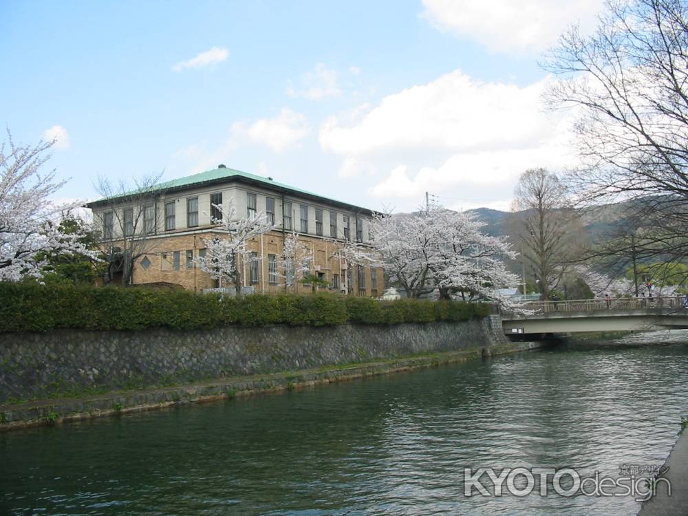 桜と京都市美術館