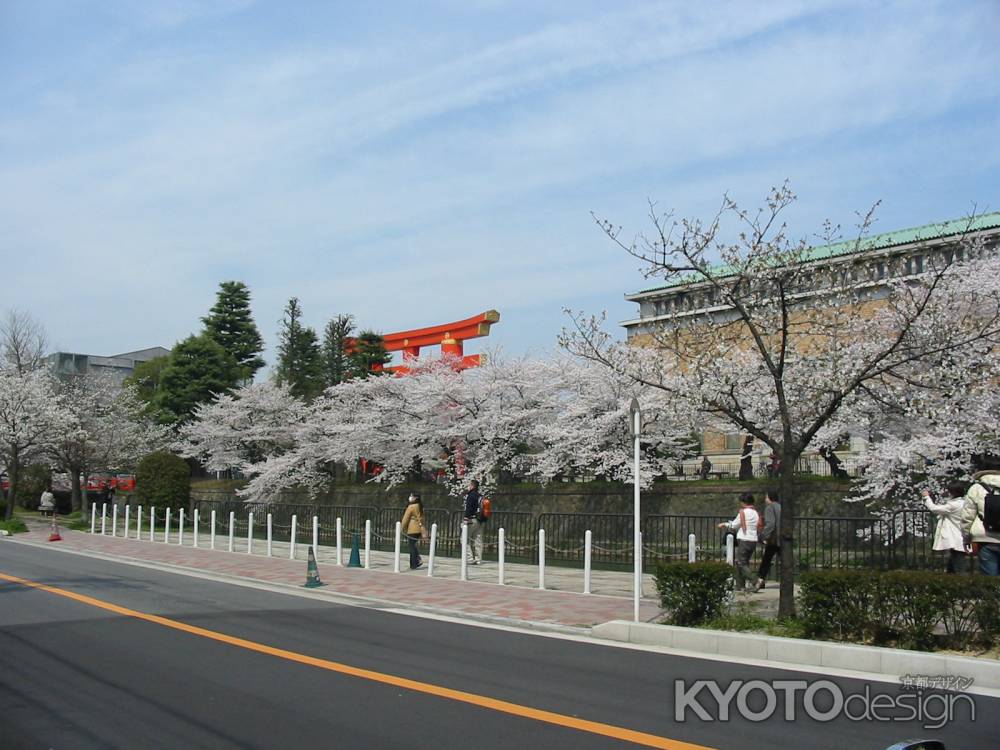 春の大鳥居と京都市美術館