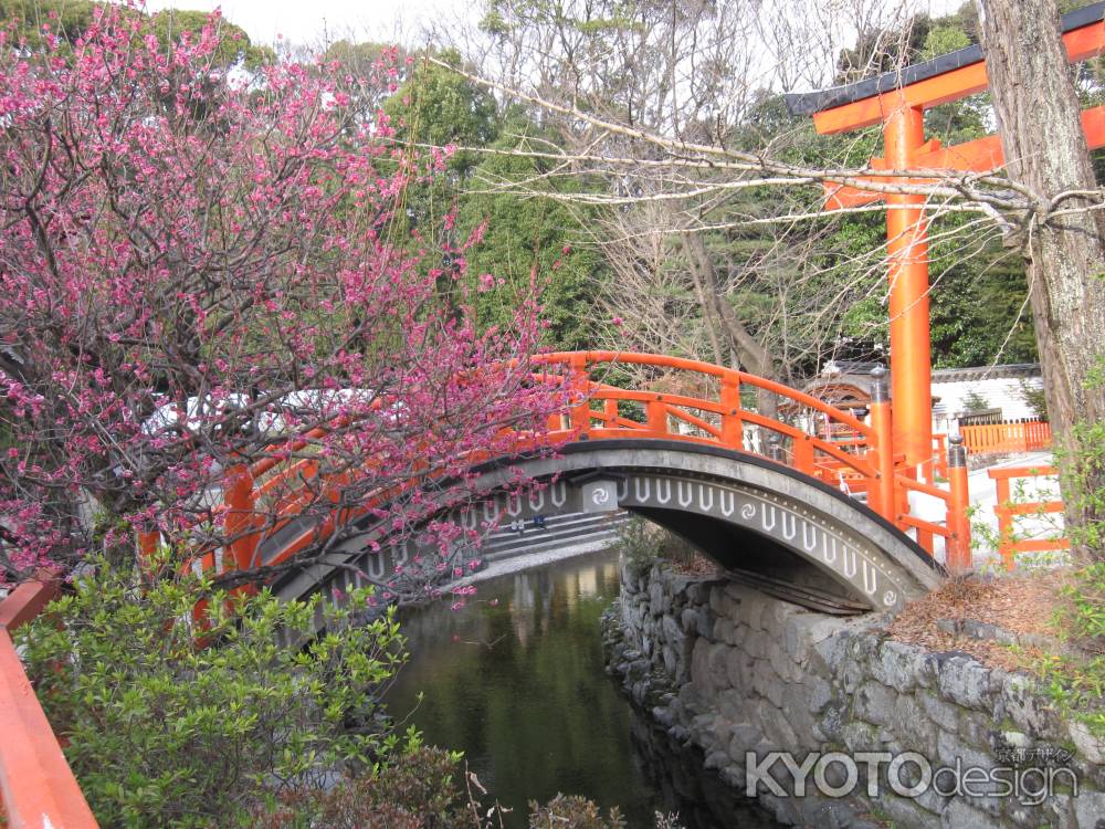 下鴨神社の赤い橋と紅梅