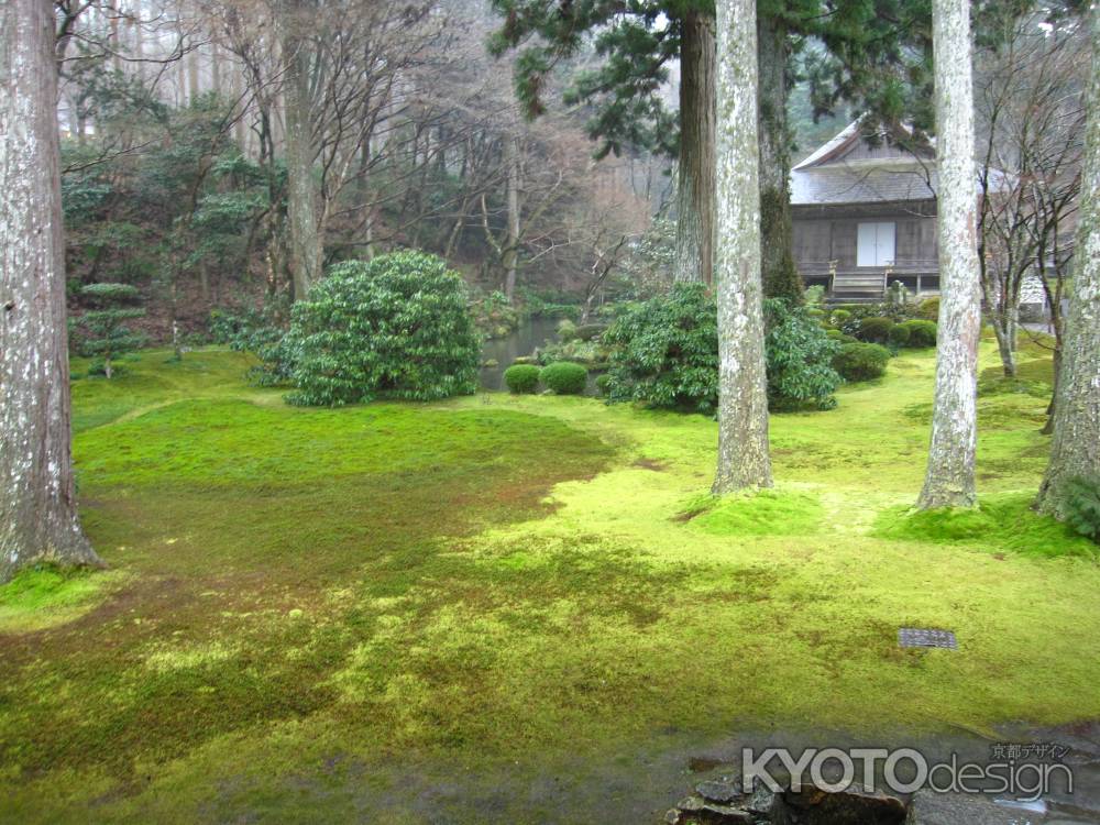 雨の三千院有清園